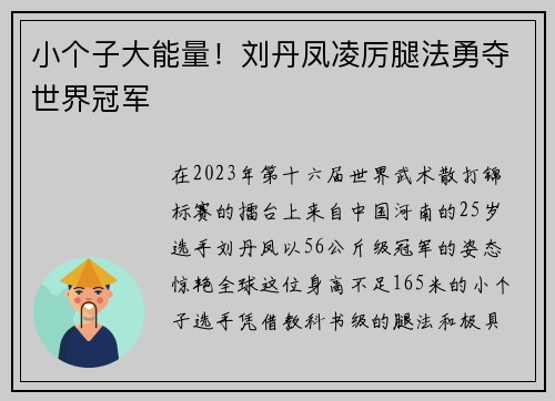 小个子大能量！刘丹凤凌厉腿法勇夺世界冠军